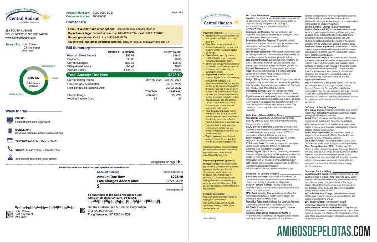 em branco EUA Nova York Central Hudson A Fortis Company Conta de serviços públicos, modelo Word e PDF, 3 páginas 1 2